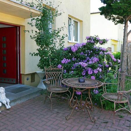 Cozy Souterrain-Half-Basement-Apartment Included 2 Bicycles Berlin Dış mekan fotoğraf